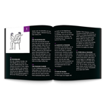 SEX ROULETTE KAMASUTRA MULTILANGUE