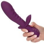 Obsession Lover Vibe SE-4385-10-3