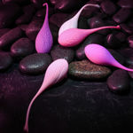 Tight & Delight - Kit EV008836