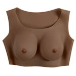 Undergarments - Plate C-Cup - Dark EV003991