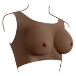 Undergarments - Plate C-Cup - Dark EV003991